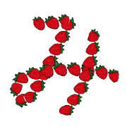 032