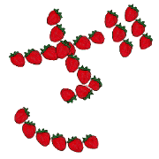 061