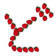 070
