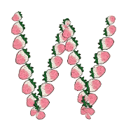023