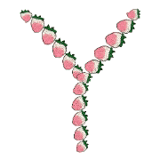 025