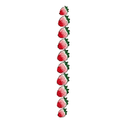 081