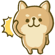 003