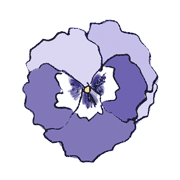 031