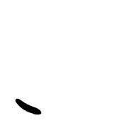 256