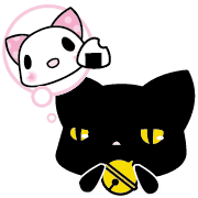 008