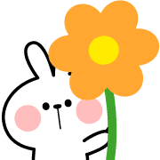 031