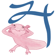 032