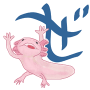 064
