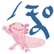 080