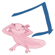 090