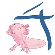 097