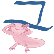 117