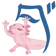 146