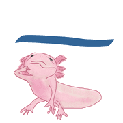 161