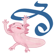 164