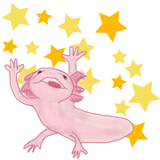 170
