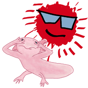 176