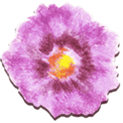 029