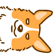 031