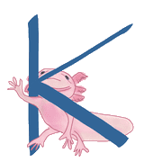 011