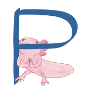016