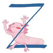 026
