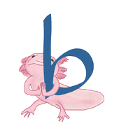 028
