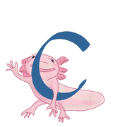 029