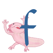 032