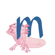 039