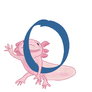 041