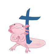 046