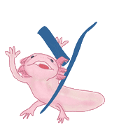 051
