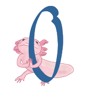 062