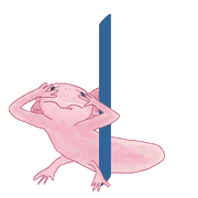 081