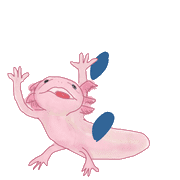 083