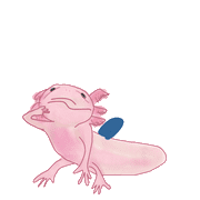 085