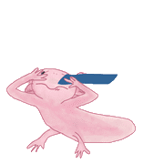 090