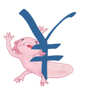 091