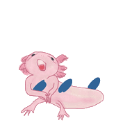 096