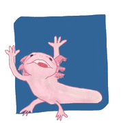 118