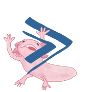 127