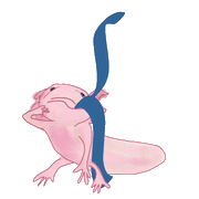 128