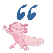 133