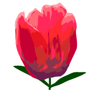 008