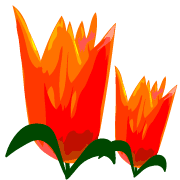 010