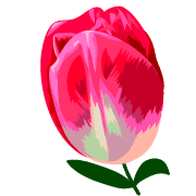 011