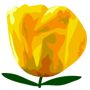 017
