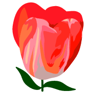 019